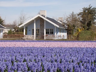 Ferienpark Noordwijk Außenaufnahme 5