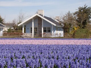 Vakantiepark Noordwijk Buitenaudio-opname 8