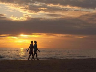 Ferienpark Noordwijk Umgebung 23