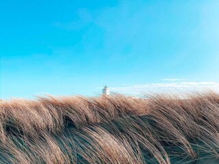 Vakantiepark Noordwijk Omgeving 32