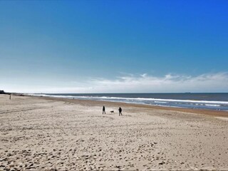 Parque de vacaciones Noordwijk Entorno 28