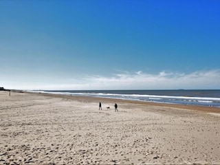 Vakantiepark Noordwijk Omgeving 29