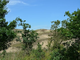 Vakantiehuis Welt Omgeving 30