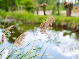 Vakantiehuis Leiderdorp  24