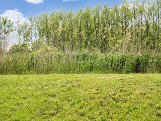 Vakantiehuis Leiderdorp Buitenaudio-opname 5