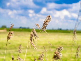 Casa de vacaciones Leiderdorp  26