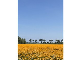 Farbenzauber überalle