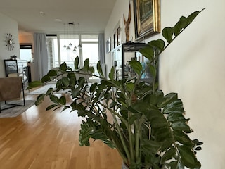 Ferienwohnung Breskens Ausstattung 13