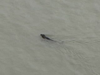 und weitere Nachbarn