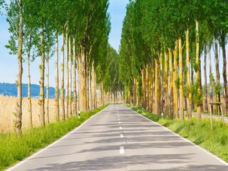 Appartamento per vacanze Insel Reichenau Ambiente 28