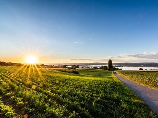 Apartamento de vacaciones Insel Reichenau Entorno 30