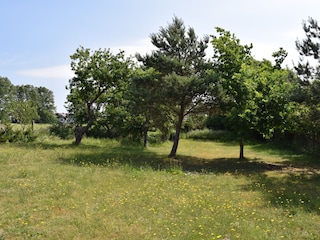 Hier kann gegrillt werden, Fussball, Volleyball etc.