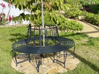 verweilen unter dem Maulbeerbaum