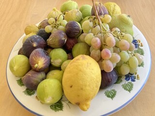 "Gesammelt im Dorf."