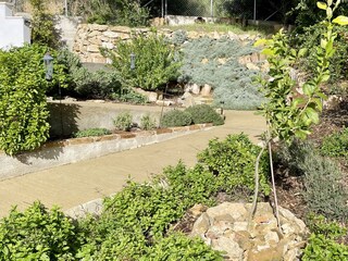 Serpentinenweg mit Kräutern