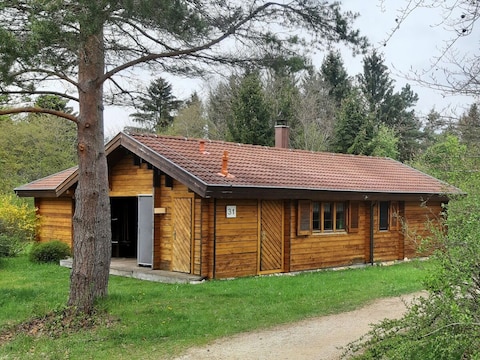 Ferienhaus Donau 31 Glückskäfer