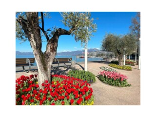 Apartment Bardolino Umgebung 20