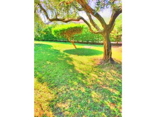 Apartment Bardolino Außenaufnahme 8