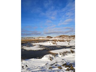 Vakantieappartement Norderney Omgeving 17