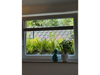 Apartamento de vacaciones Norderney Características 4