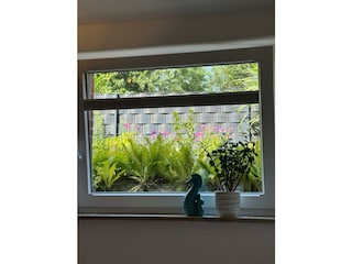 Appartamento per vacanze Norderney Caratteristiche 4