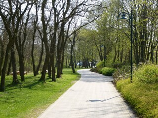 Spazierweg an der Düne