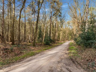 Vakantiehuis Hellendoorn Omgeving 25