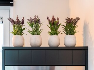 Casa per le vacanze Hellendoorn  27