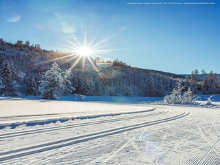 Appartamento Pusterwald  21