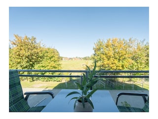 ... dem Blick ins Grüne