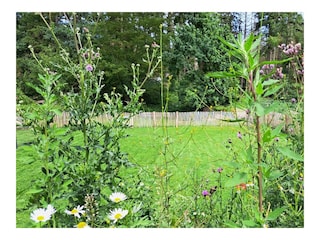 Ferienhaus Pelzerhaken Außenaufnahme 7