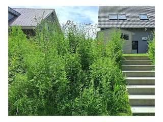 Ferienhaus Pelzerhaken Außenaufnahme 8