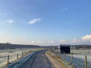 Endlose Spaziergänge durch Wälder, Dünen und Wiesen