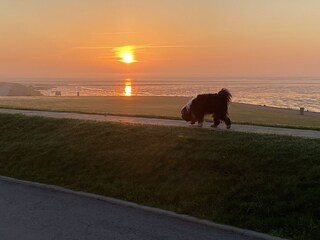 Sonnenuntergang an der Nordsee