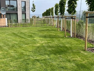 Ferienwohnung Marienleuchte Außenaufnahme 22