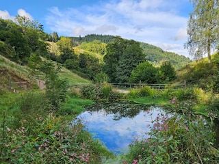 Ferienwohnung Saint Marie Aux Mines Außenaufnahme 3