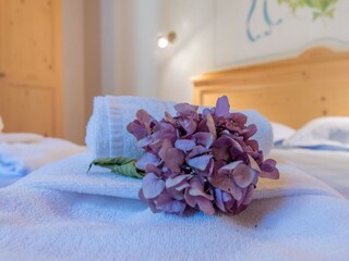 Apartment Rocca Pietore Features 21