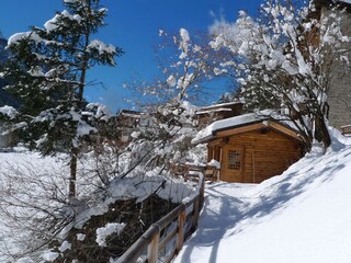 Apartment Rocca Pietore Environment 32