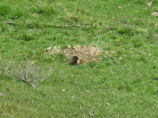 Apartment Rocca Pietore Außenaufnahme 8