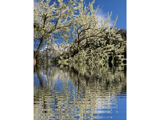 Apartment Rocca Pietore  37