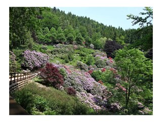 Ferienwohnung Biella Umgebung 28
