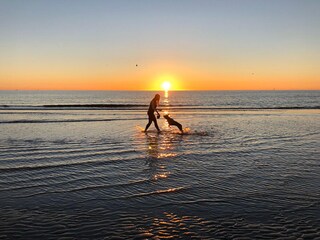 Ferienhaus Julianadorp Umgebung 17