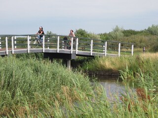 Ferienhaus Julianadorp Umgebung 18