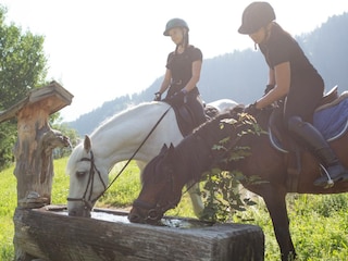 Reiten in hauseigener Reithalle