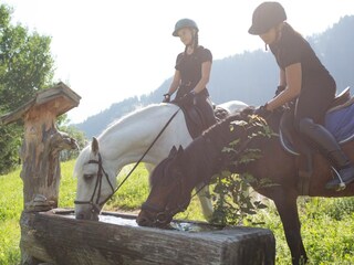 Reiten in hauseigener Reithalle