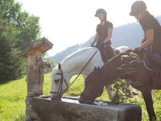 Reiten in hauseigener Reithalle