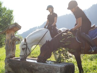 Reiten in hauseigener Reithalle