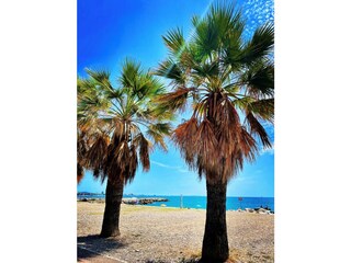 Meer