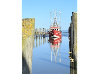 Einlaufen der Kutter