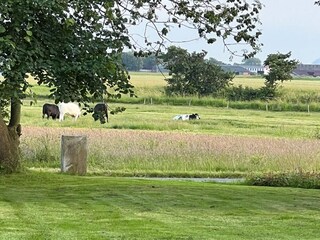 Holiday house Risum-Lindholm Outdoor Recording 8